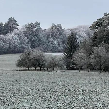 Casa vacanze Le Coteau De L'orme Dosches