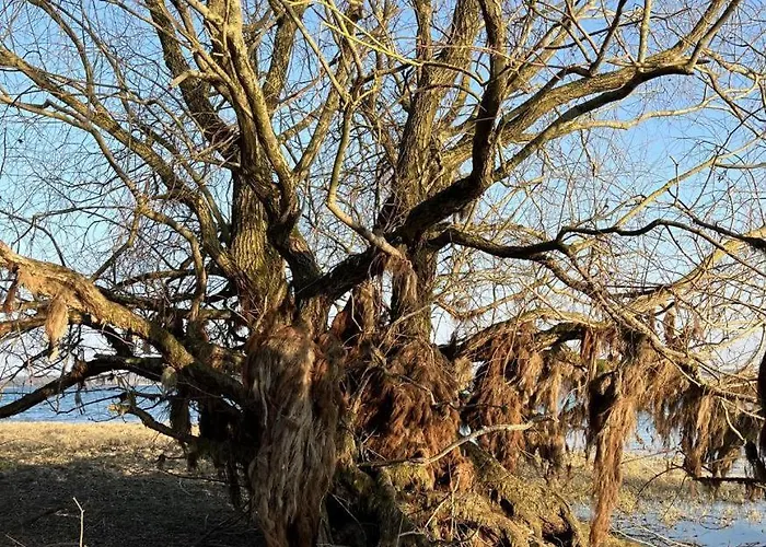 Le Coteau De L'orme Holiday home Dosches